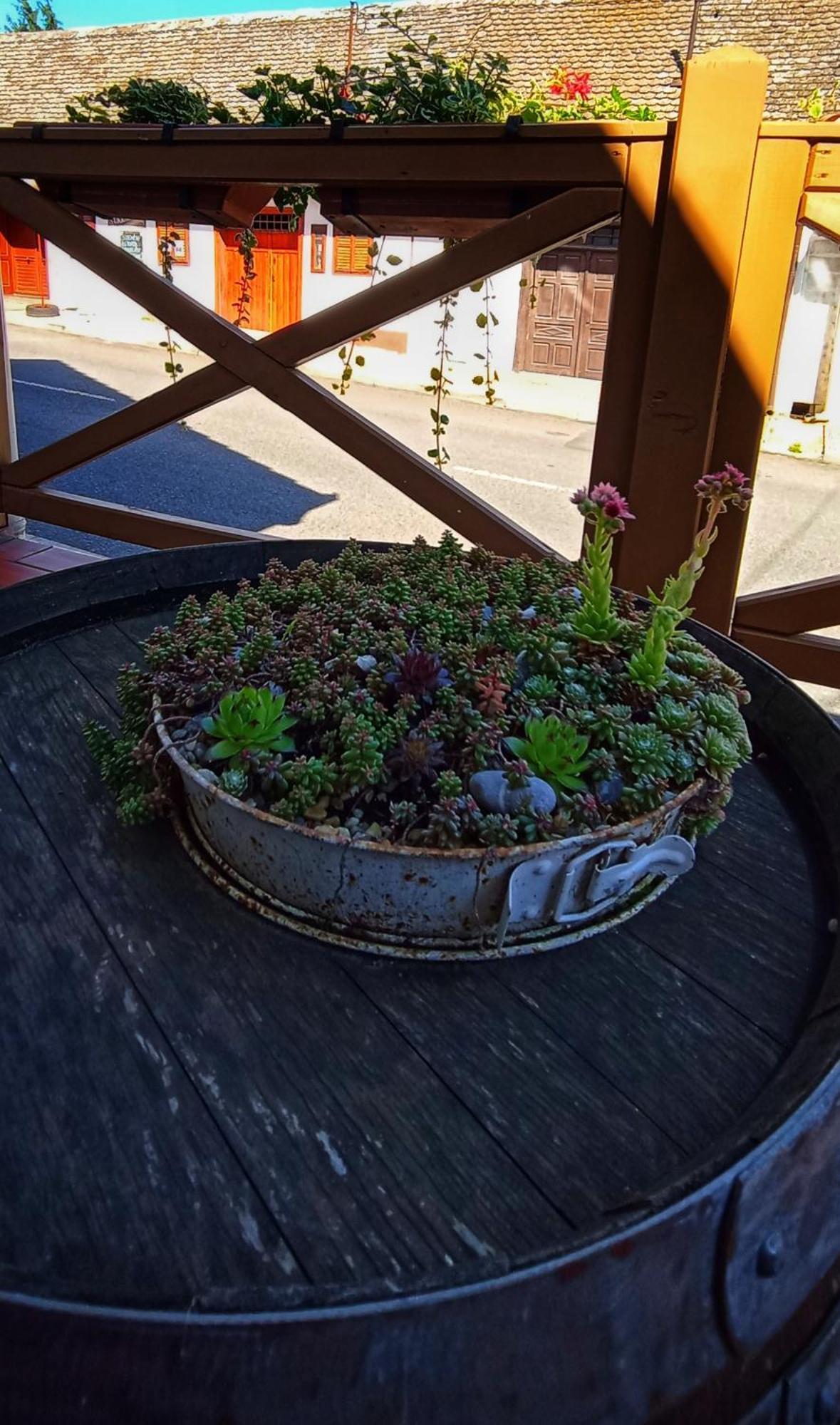 Vitenyi Pince Vendeghaz Villany Bagian luar foto